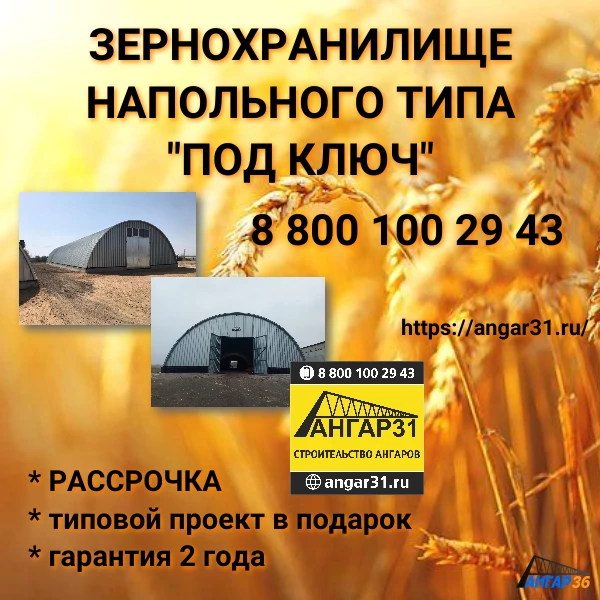 Зернохранилище ангар цена в Панино Воронежская область, ГК "Ангар 36"
